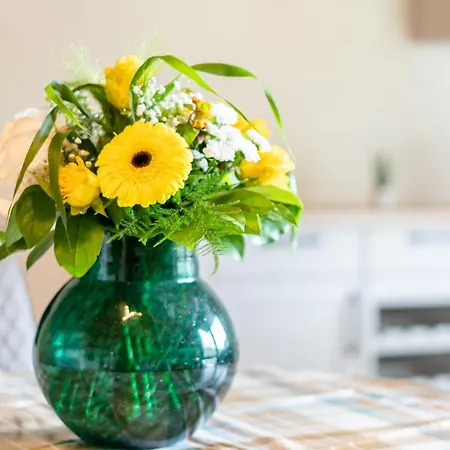 Apartamento Winter-nest