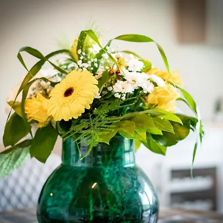 Winter-nest Apartamento Todtnau