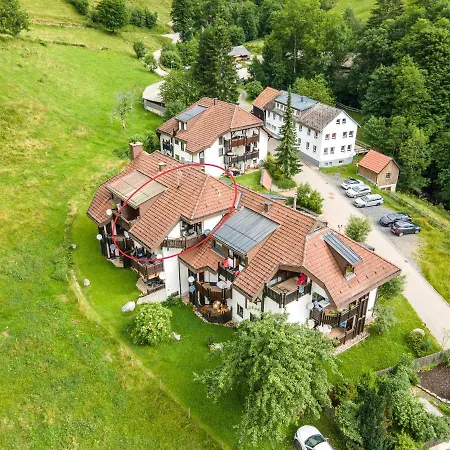 Winter-nest * Todtnau