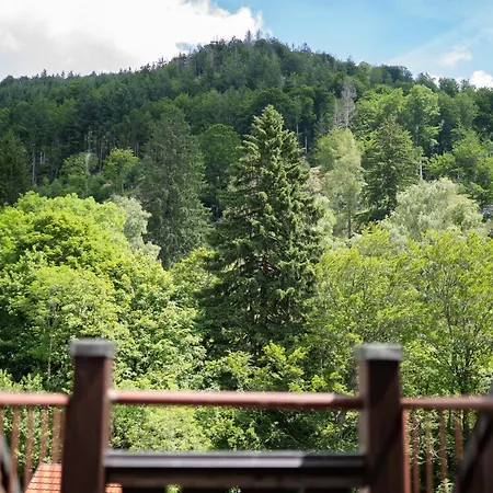 Winter-nest * Todtnau