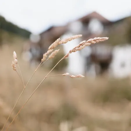 Winter-nest Apartamento *