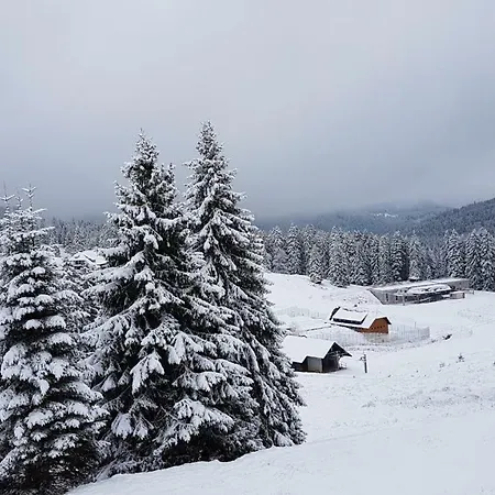 Apartamento Winter-nest *