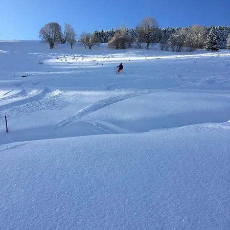 Apartment Winter-nest