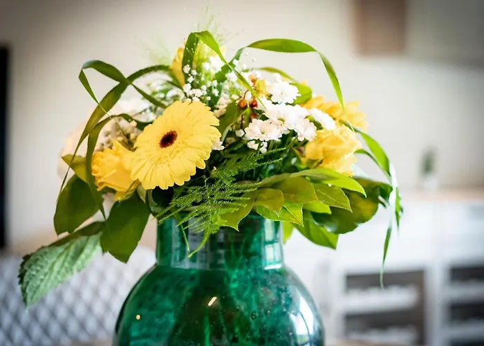 Winter-nest Апартаменты Тодтнау