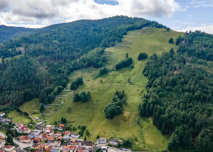 Winter-nest Апартаменты *