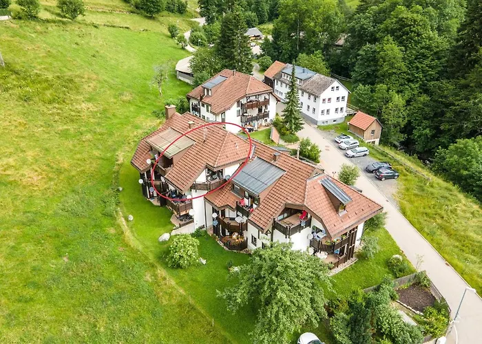 Winter-nest * Todtnau