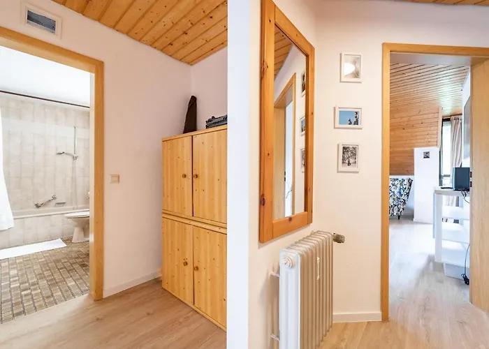 Winter-nest Тодтнау