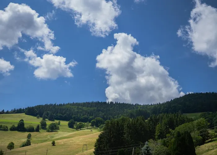 Апартаменты Winter-nest