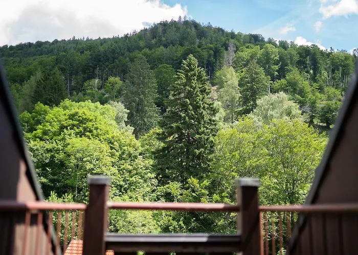 Winter-nest * Todtnau