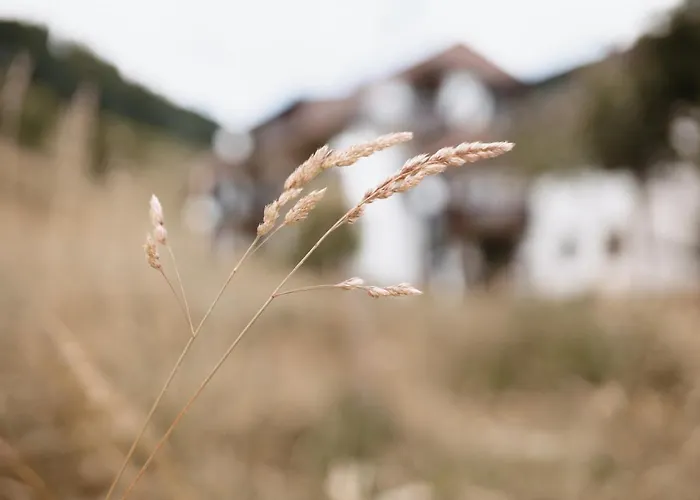 Winter-nest Lägenhet *