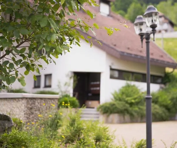 Winter-nest Тодтнау