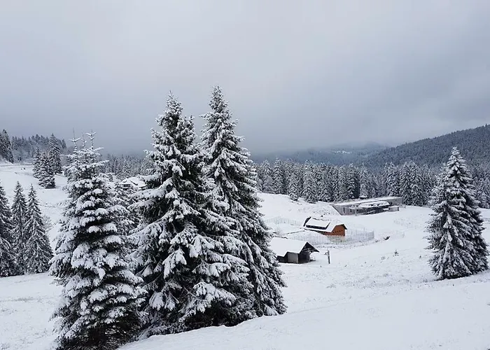 Апартаменты Winter-nest *