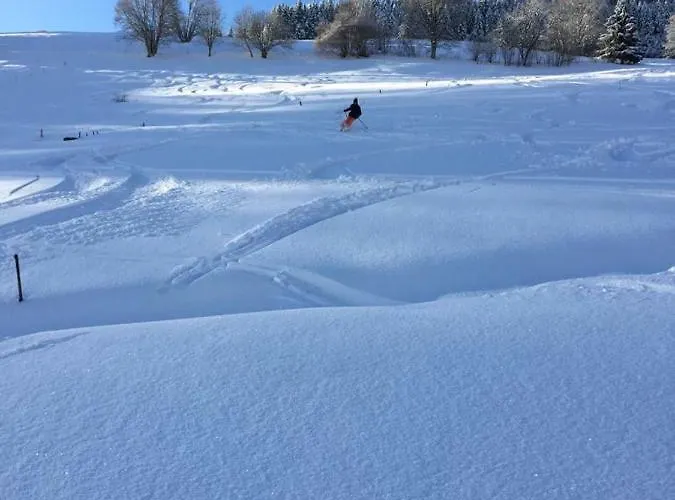 Апартаменты Winter-nest